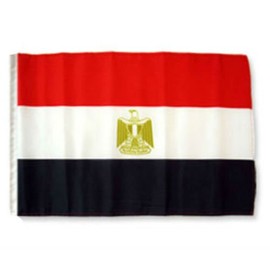 AES 12x18 12''x18'' Egypt Sleeve Flag Boat Car Garden Best Garden Outdor Decor Polyester Material Flag Premium Vivid Color and UV Fade Resistant