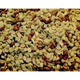Alpine Ingredients RAW Peanut Shelled Peanuts 50 Lb