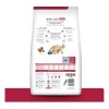 Hills H/d 8kg Cardiaco Original Sellado