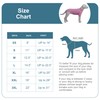 LoveLongLong Spring Summer Cooling Dog T-Shirt with UV Protection and