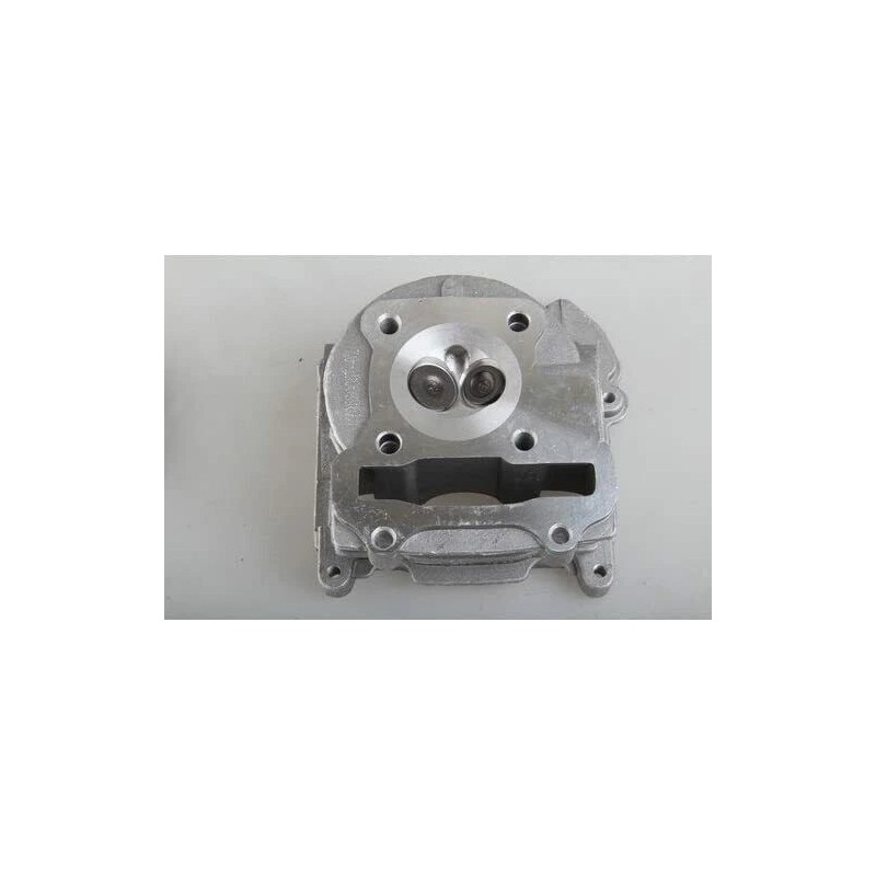 FANCY SCOOTERS Wolf Islander 50,Jet 50,GY6-50 High Performance 100cc Top