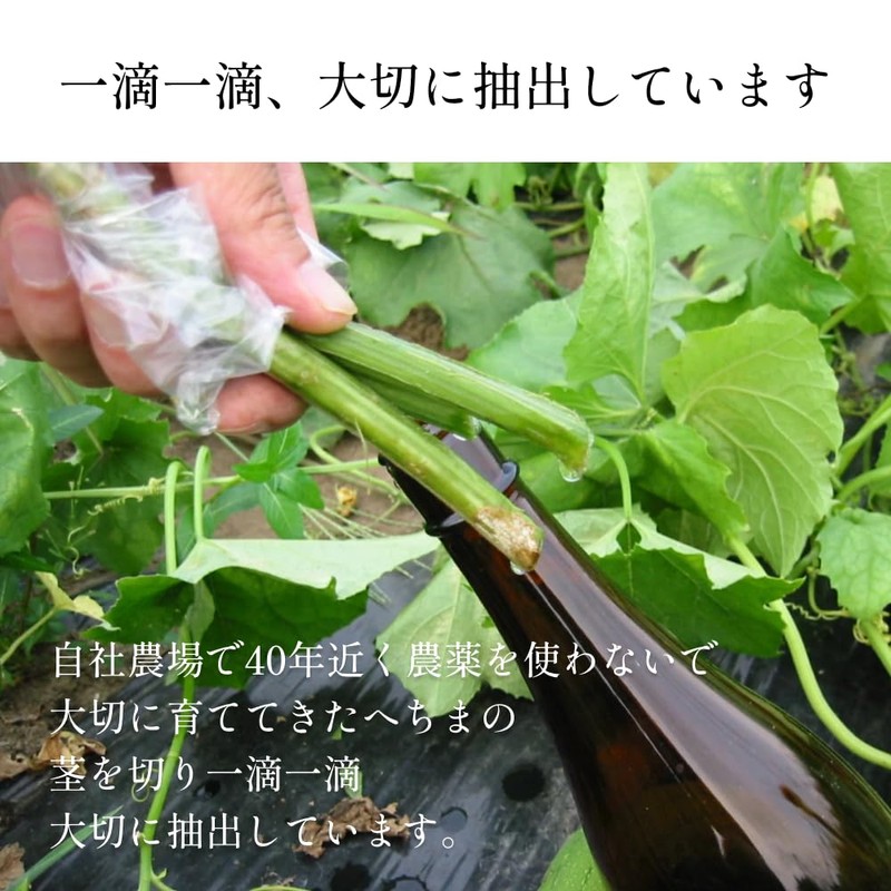 【8月から値上げ予定】[国産 へちま水 100％] へちまローション 120ml オーガニック 化粧水 肌 顔 夏