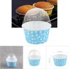 Alvinlite 100Pcs Mini Cupcake Liners with Lid|Disposable Muffin Tin Cupcake