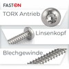 FASTON® Drilling Screws, Hexalobular 4.2 x 38 mm with Rounded