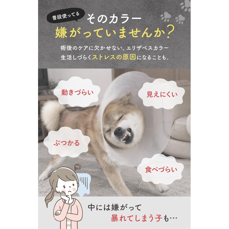 Croissant Magazine, Supervised by Veterinarian x JPPMA Certified, Elizabeth Collar