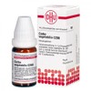 DHU Carbo Vegetabilis C200 Spreading Balls 10 g Globules