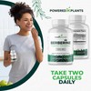 POWERED X PLANTS Pure Berberine Supplement - 1300mg Berberine with