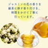 Jasmine Tea Itoen Relax Jasmine Tea Bag 0.2 oz (5.0