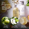 Molton Brown Orange & Bergamot feine flüssige Handseife 300 ml