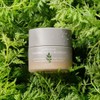 NEW Artemisia soothing cream 50ml / NEW 개똥쑥 진정 크림