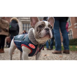 Cute-Patch 3'' Halloween Costume Rosie The Riveter Uniform-Workshirt Embroidered Iron on Patch