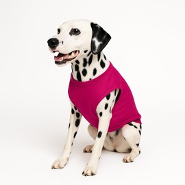 My Parents are Getting Married Dog Tee Shirt | Sleeveless | Wedding Photo Prop | Bridal Shower | Engagement Announcement (Hot Pink, 6X-Large 58)