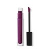 MARY KAY Brillo Labial Mary Kay Unlimited (Evening berry)