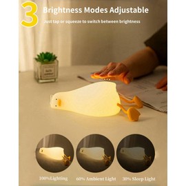 Daixinde Cute Lazy Duck Night Light, Lazy Duck Lamp, LED Squishy Existential Crisis Duck, Rechargeable Dimmable Duck Light Laying Down with 30 Minutes Timer & Touch Control for Bedroom Living Room