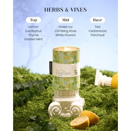 M&SENSE Herbs Vines Scented Scented Candle, Medium Jar Candle 11.3oz Natural Soy Wax for Home Scented, Floral Candles Gift for Spring Holiday, Up to 60 Hours Burning Long-Lasting Fragrance