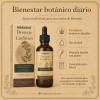 Windboss Gotas Con Saúco Y 9 Extractos Botánicos 59 Ml