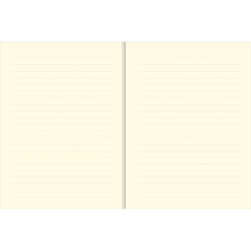 The Universe Journal