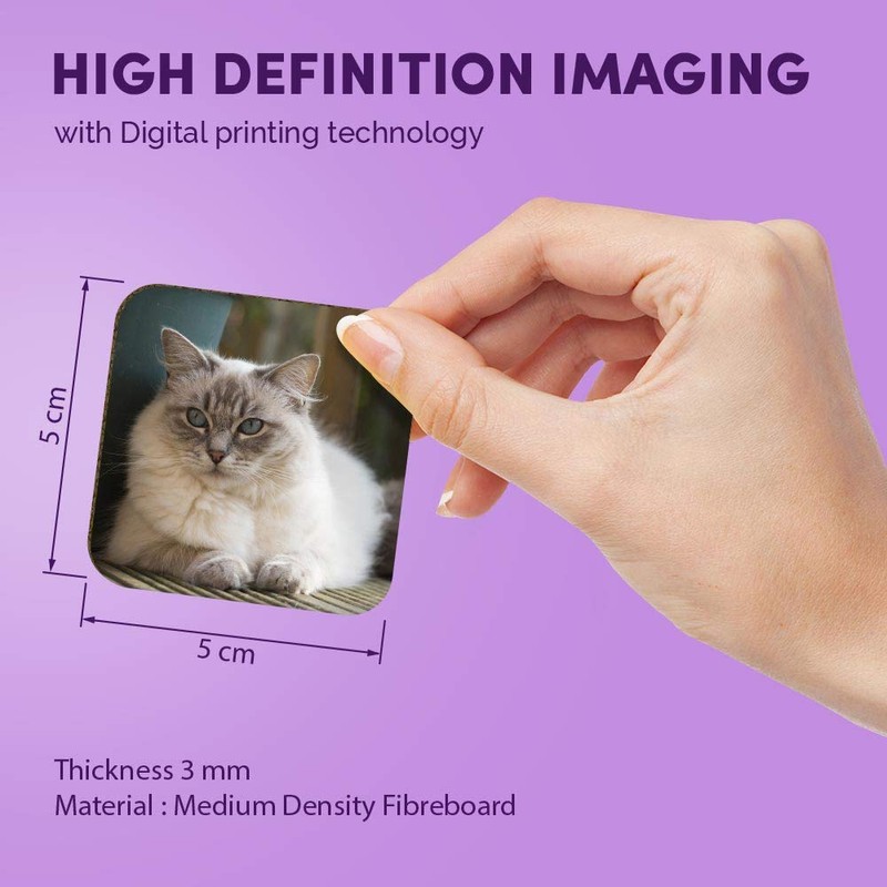 1 x Square MDF Fridge Magnet - Ragdoll Cat Kitten