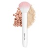 wet n wild - Brocha para polvo con cerdas sintéticas