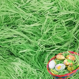 Surflyee Shredded Tissue Paper Green, 100 Grams Tissue Paper, Raffia Gift Filler Paper, Great for Gift Boxes, Hamper Basket Filling, Birthday Party Decorations (Green)