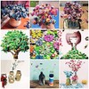 Esoca - Botones surtidos para manualidades, decoración navideña, 650 unidades,