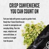 Ready Hour Broccoli Case Pack (48 Servings), Freeze-Dried, Bulk Emergency