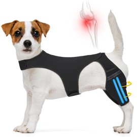 Dog Knee Brace for Back Leg, Double Leg Brace Fit Large to Small Dogs Strong Support Dog ACL Hip Brace with 2 Metal Strips for Hip Dysplasia, CCL, Ligament Injuries or Osteoarthritis (Medium)