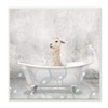 Stupell Industries Baby Llama Bath Time Cute Animal Design, Designed