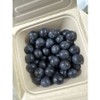Blueberry Light special fatigue recovery food 250g 2 packs, 2 pieces / 블루베리 담백한 특별한 피로회복 식품 250g 2팩, 2개
