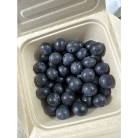 Blueberry Light special fatigue recovery food 250g 2 packs, 2 pieces / 블루베리 담백한 특별한 피로회복 식품 250g 2팩, 2개