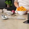Aldera Home Stainless Steel Soup Ladle with Long Handle, Silver