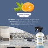Therapy Granite Cleaner & Polish (2 Pack) - Granite Countertop