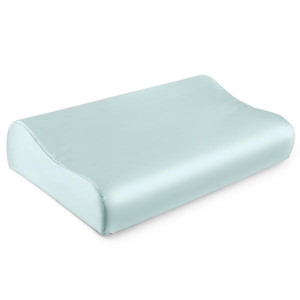 THXSILK 19 Momme 100% Mulberry Silk Pillowcase for Contour Memory