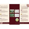 Forum Traiani Papyrus Sheet 21 x 16 cm, Natural Edge,