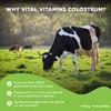 Vital Vitamins Colostrum Supplement - Vitamin C, Zinc, & Selenium