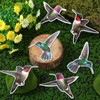 Konohan 3 Pairs Hummingbird Screen Door Magnets Double Sided Patio