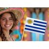 25 Pack Uruguay Handheld Small Flag,Mini Uruguayan Hand Held Miniature