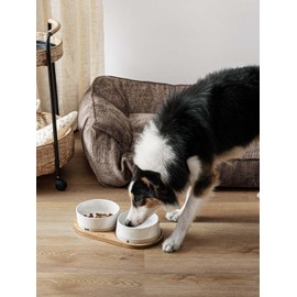LE TAUCI PET Ceramic Dog Bowls for Medium and Small Dogs - 3.2 Cup Weighted Non-Slip Food and Water Bowls with Acacia Wood Tray, Pet Bowl Set of 2