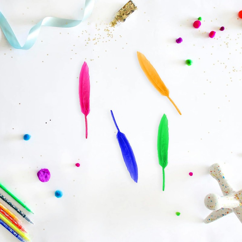 Thyonta 50 PCS Colorful Feathers - Craft Feathers for Crafts丨Natural