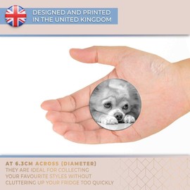 Destination Vinyl ltd Magnet for Refrigerator, Fridge BW - Cute Blonde Chihuahua Puppy Dog for Office, Cabinet and Whiteboard, Magnetic Stickers, 42678