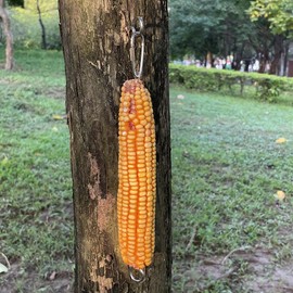 Hanging Squirrel Feeder Outside Corn Cobs Holder for Squirrels Chipmunk Funny Toy (Stainless Steel C)