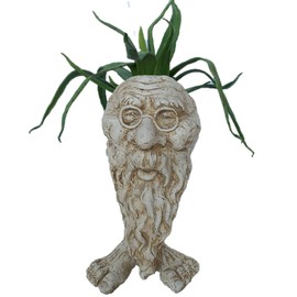 Muggly Great Grandpa RIP Planter Face Pot Patio & Garden Statue in Antique White Finish