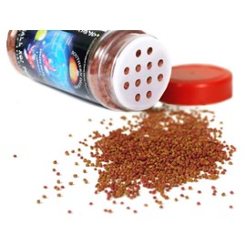 Southern Delight Small Koi