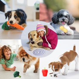 Rainbow-K9 Puppy Toys 7 Pack, Small Dog Chew Toys with Rope Toys for Teething Pet Cute Squeak Toy with Treating Ball for Puppy, Small Dogs