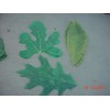 Sisson Imports Package 80 Sisson Imports USA French Leaves Fine