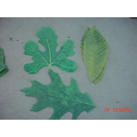 Sisson Imports Package  80  Sisson Imports USA  French Leaves Fine Parchment Paper Table Decor
