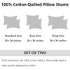 WINLIFE 100% Cotton Quilted Euro Sham Covers, 2 Pack Cotton