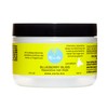 Curls Blueberry Bliss Reparative Hair Mask - Deep Conditioning -