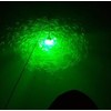 Lightingsky 12V 14W 180 LEDs 1300 Lumens LED Submersible Fishing