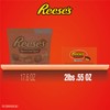 REESE'S Miniatures Milk Chocolate Peanut Butter Cups, Candy Packs, 0.31